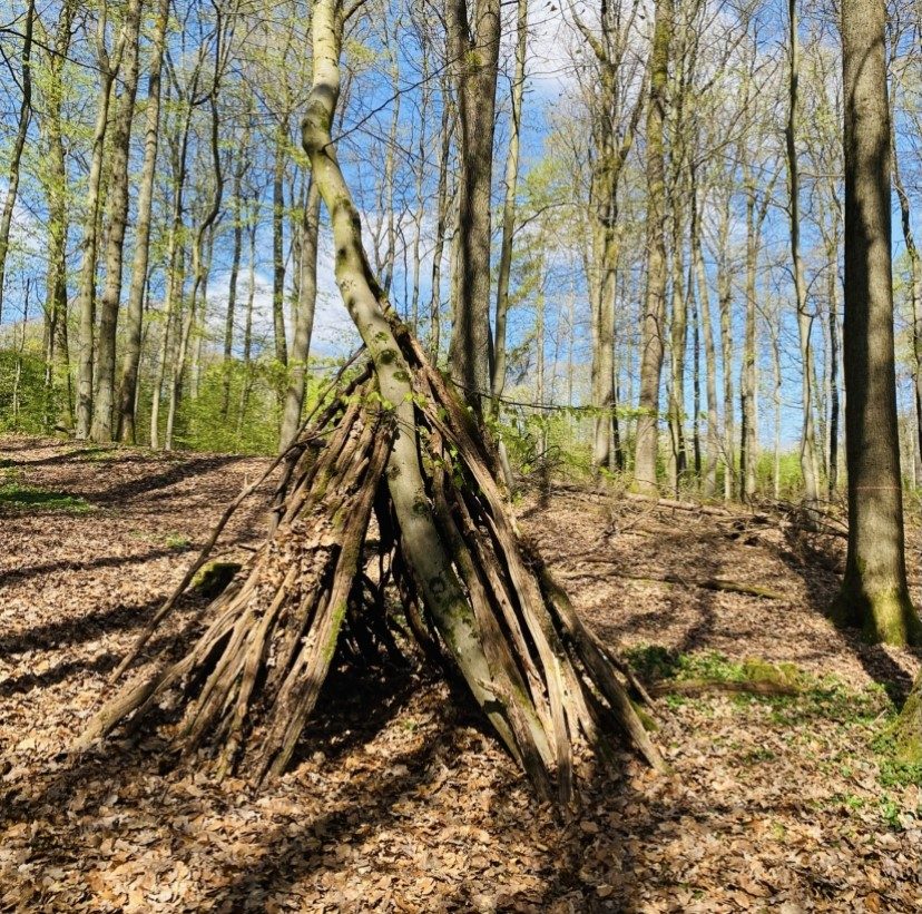 Selbstgebaute Hütte aus Ästen im Frühlingswald beim Startchancenprogramm